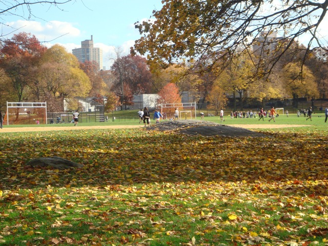 centralpark2 centralpark2